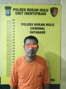 DPO Pelaku Perampokan Bersenjata api Berhasil Diringkus Oleh Team Resmob Polres Rokan hulu