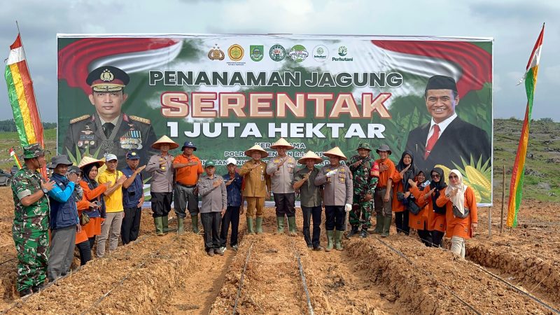Pemda Rokan Hulu Sukseskan Penanaman Jagung 1 Juta Hektar