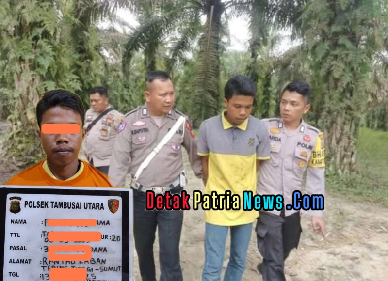 Polsek Tambusai Utara Ungkap Kasus Curas di Desa Bangun Jaya dalam Waktu Kurang dari 12 Jam