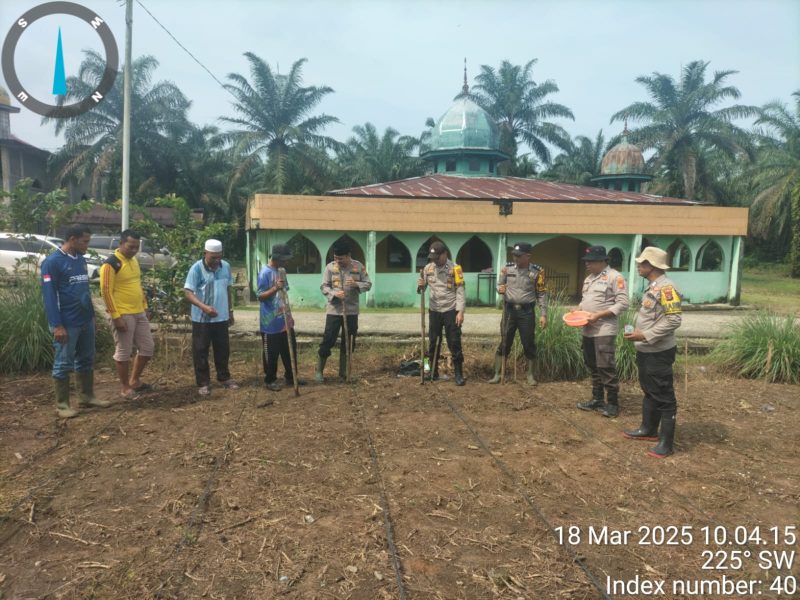 Polsek Tandun dan Warga Desa Tandun Barat Bersinergi Tanam Jagung Hibrida untuk Ketahanan Pangan