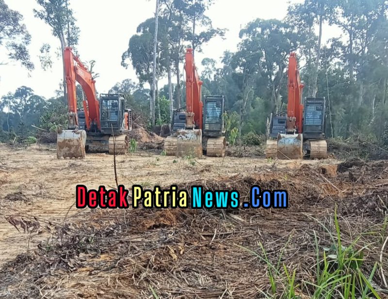 Lahan Sawit Anggota Koperasi APJ Digusur Tanpa Pemberitahuan, Warga Rokan Hulu Pertanyakan Keadilan