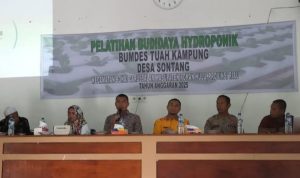 Dorong Ketahanan Pangan, Desa Sontang Gelar Pelatihan Hidroponik Kolaborasi BUMDes dan PKK