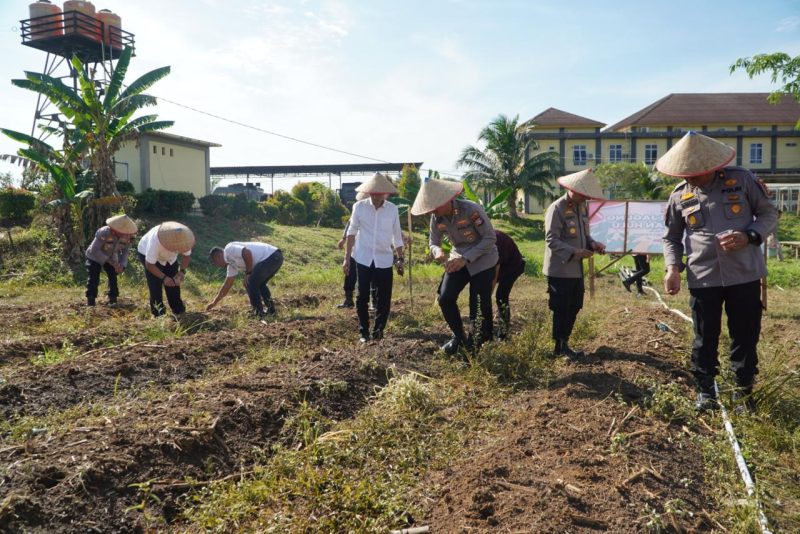 Dukung Program Swasembada Pangan Presiden RI, Kapolres Rokan Hulu Tanam Jagung di Lahan Polres