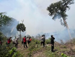 Kapolres Rokan Hulu Pimpin Langsung Pemadaman Karhutla di Rokan IV Koto dan Rambah AKBP Emil Eka Putra