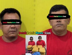 Satresnarkoba Polres Rokan Hulu Berhasil Ungkap 10,3 Kg Daun Ganja Kering, Dua Tersangka Diamankan