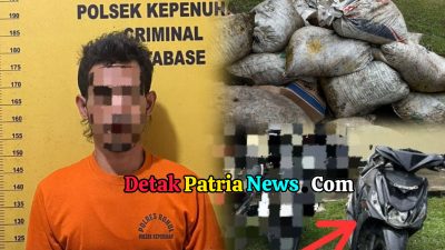 Polsek Kepenuhan Ungkap Kasus Pencurian Brondol Sawit di PT. PSA, Satu Tersangka Diamankan