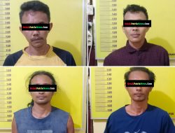 Polsek Kunto Darussalam Tangkap 4 Pelaku Pencurian Buah Sawit di PT Ekadura