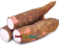 Ubi Kayu: Superfood Lokal Kaya Manfaat untuk Energi, Kesehatan Jantung, dan Kulit