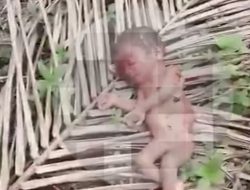 Mayat Bayi Laki-Laki Ditemukan di Kebun Sawit Kampar, Diduga Dibuang Orang Tuanya