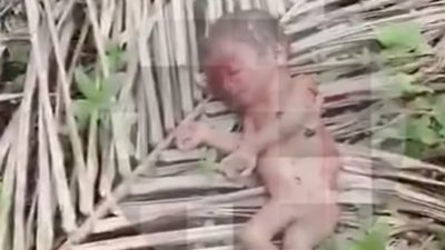 Mayat Bayi Laki-Laki Ditemukan di Kebun Sawit Kampar, Diduga Dibuang Orang Tuanya