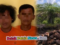 Polsek Bonai Darussalam Ungkap Pencurian Buah Sawit di Kebun Koperasi, 2 Pelaku Ditangkap