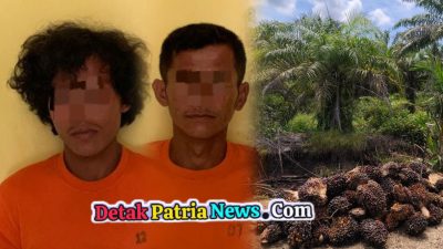 Polsek Bonai Darussalam Ungkap Pencurian Buah Sawit di Kebun Koperasi, 2 Pelaku Ditangkap