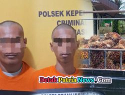 Polsek Kepenuhan Bongkar Kasus Pencurian 48 Tandan Sawit di Rokan Hulu, Pelaku Diamankan