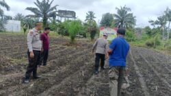 Polsek Kunto Darussalam Tanam Jagung Bersama Warga