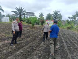 Polsek Kunto Darussalam Tanam Jagung Bersama Warga