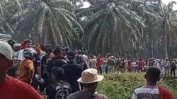 Sengketa Tanah Ulayat Rantau Kasai Memanas, Bentrokan Diduga Libatkan Massa Harimau Tambusai