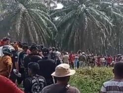 Sengketa Tanah Ulayat Rantau Kasai Memanas, Bentrokan Diduga Libatkan Massa Harimau Tambusai