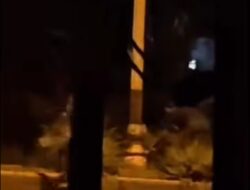 Pria Diduga Curi Komponen PJU di Rambah Diamankan Polres Rohul