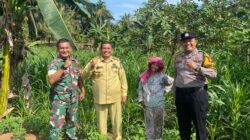 Polsek Tandun Monitoring Lahan Jagung Program Swasembada Pangan