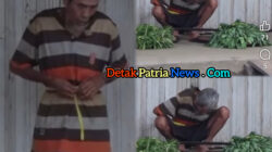 Viral ! Kakek Penjual Kangkung Ikat Perut demi Tahan Lapar, Kisah Abah Madhalim Bikin Haru