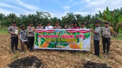 Kapolsek Tandun Turun Langsung Tanam Jagung Kuartal III