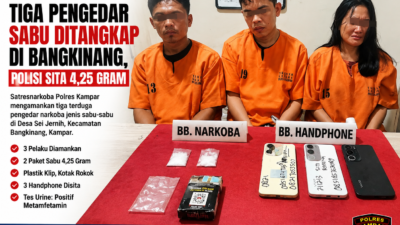 Tiga Pengedar Sabu Ditangkap di Bangkinang, Polisi Sita 4,25 Gram